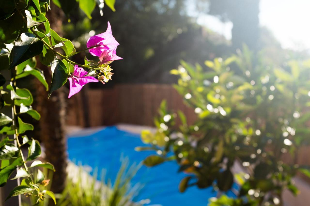 Villa Fiore Torbole Sul Garda Ngoại thất bức ảnh